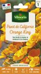 Fleurs - Pavot de Californie Orange King - face recto